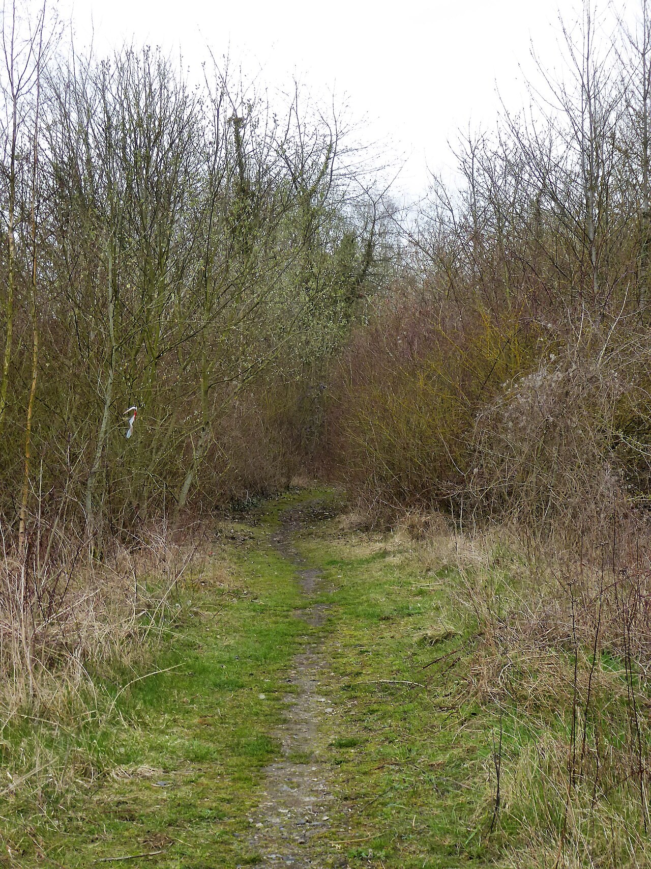Près de la gare de Guise